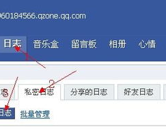 哪里网站适合写私密日记,打造个人隐私的数字避风港
