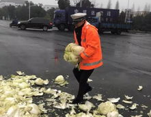 余姚网红淹死,一场意外引发的深思